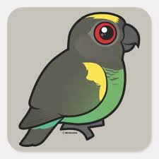 Meyer's Parrot Comics